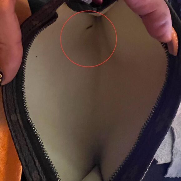 Louis-vuitton Women's Brown Bag - Picture 4 of 8